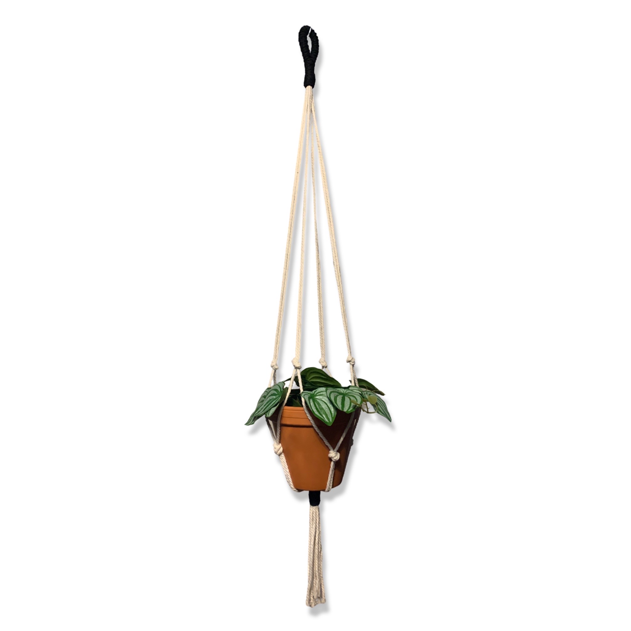 Plantenhanger - Wit/Zwart - 100 cm