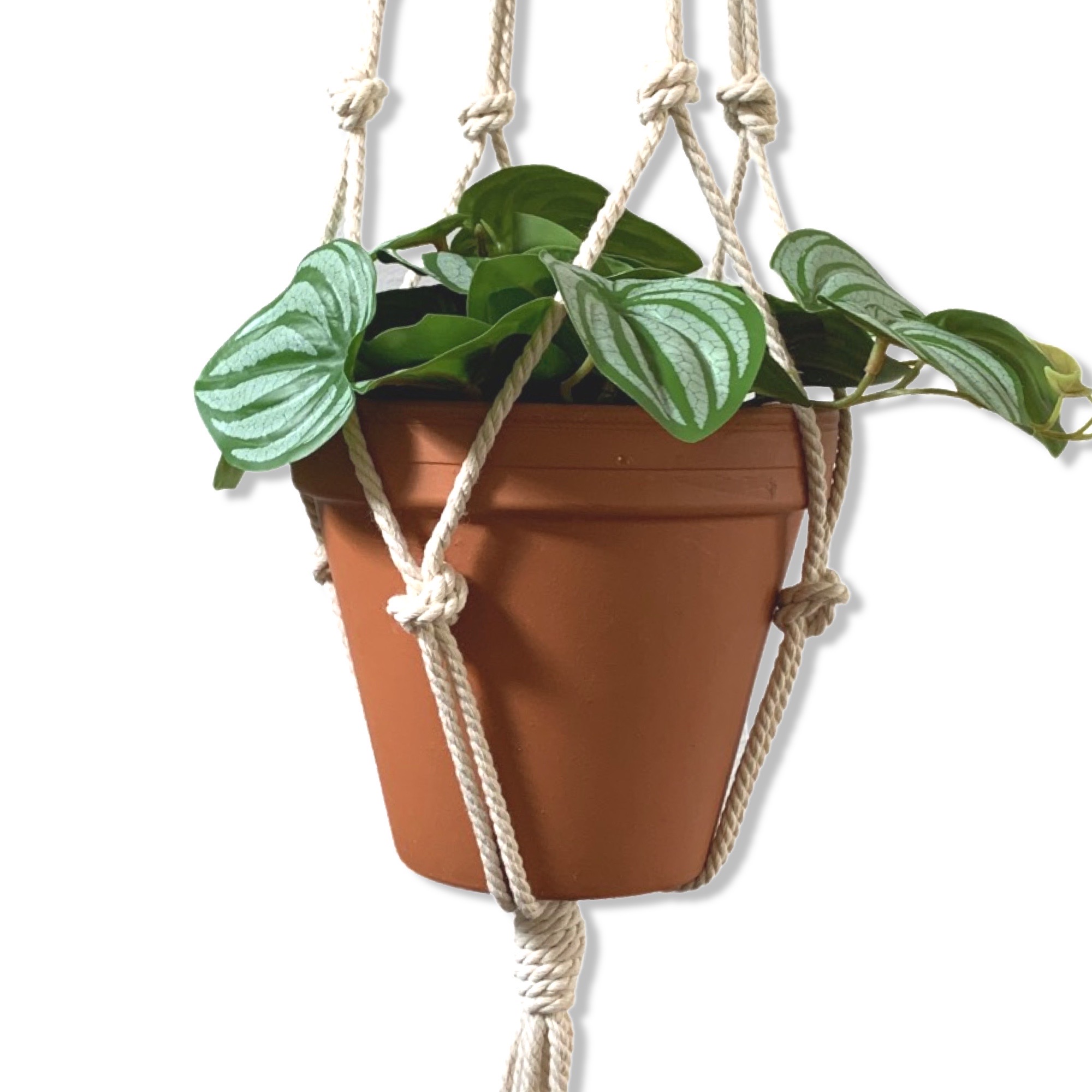 Plantenhanger Wit 100 cm