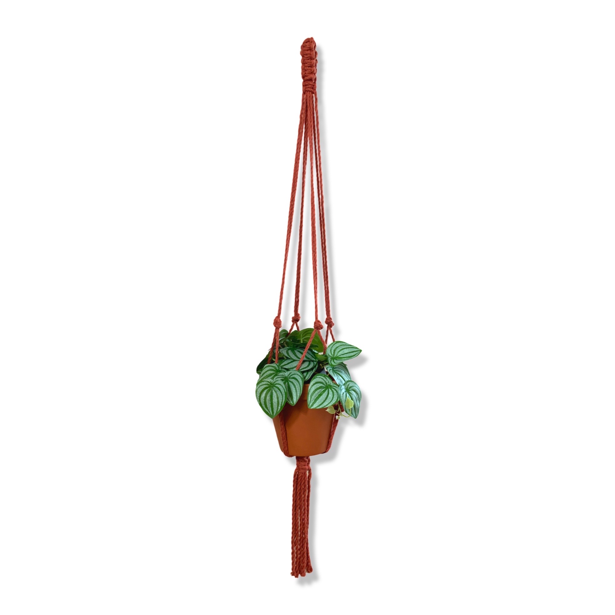 Plantenhanger Classic Rood/Roestbruin